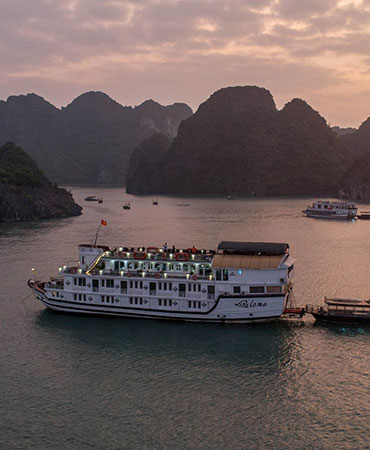 Mẫu du thuyền Paloma