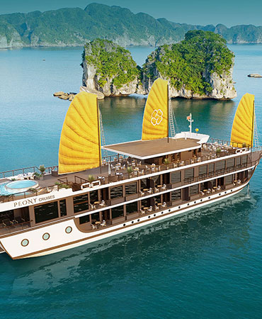 Mẫu du thuyền Peony