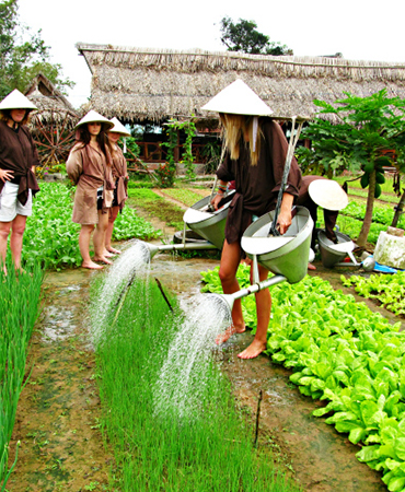 Mẫu web Amazing Travel